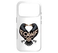 Celtic Raven F-CAW-F Viking & Pagan Knotwork Norse Mythology Case for iPhone 17 Pro