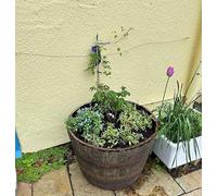 Celtic Timber Barrel Planter - Rustic Outdoor Plant Pot - Made from Aged Quarter-Sawn Oak - Weathered Wood for Outdoor Plants, Garden, Trees - Oak Whiskey Half Barrel Planter - 27.5 Gallon Tall