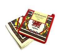 Celtic Weave Welsh Dragon Pot Holder and Tea Towel Set