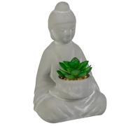 Cement Buddah Succulent - This Cement Buddah Succulent Is A Gorgeous Way To Bring A Sense Of Peace To Your Garden Or Home - Great For Adding A Stylish Touch To Your Decor