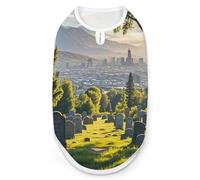Cemetery Outside The City Dog Shirt Quick Dry Breathable Pet T-Shirt Soft Stretchy Sleeveless Vest Dog Apparel M