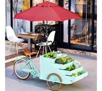 Cendbirut Mobile Outdoor Tricycle Food Truck, Outdoor Food Vending Cart and Float Cart Vending Tricycle with Retractable Drawers and Parasols, for street vending Camping,A