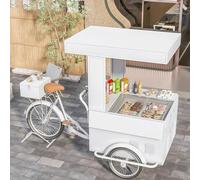 cendbirut Mobile Tricycle Vending Cart Trike, Outdoor Food Vending Cart and Float Cart Vending Tricycle with Storage space Parasols for Street Vending Camping,Style2,B