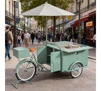cendbirut Tricycle with Beverage Display Case, Mobile Food Trunk Vending Ice Cream Drinks Showcase Bicycle with Umbrella and Storage Cabinet, for Snack Street Playground,Style1,C