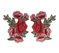 CENPEK 2Pcs 3D Floral Lace Embroidery Applique Flowers Lace Patches Cord Fabric Scrabooking Patch Sewing for Dress Decorated Craft-Style A