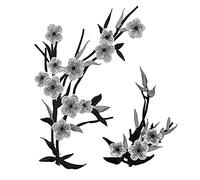 CENPEK 2Pcs Flower Delicate Embroidered Patches Embroidery Patches Iron On Patches Sew On Applique Patch Cool Patches-Gray