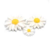 CENPEK 50 Pieces Flatback Resin Daisy Flowers Daisy Flower Epoxy Charms Mini Decorated Daisies Artificial with Storage Box for DIY Craft Cloth Pen Box Home Decoration, 3 Sizes
