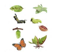 CENPEK 8PCS Butterfly Life Cycle Ornament Model Simulated Insect Models for Children's Pre-School Education