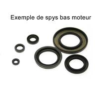 Centauro Crankshaft Oil Seal Set