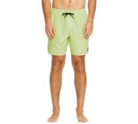 Center Elastic Waist Swimshorts in Mist Green