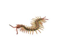 Centipede