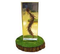Centipede Specimen Collection Paperweights Resin Biology Science Teacher Education Bug Collection Supplies for Office Men Women