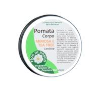 Centisia Mimosa and Tea Tree Ointment 50g | Natural Soothing Regenerating Ointment | Anti-inflammatory, Skin-protective, Antiseptic | Shea Butter, Sesame, Tea Tree