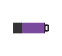 Centon DataStick Pro2 USB 2.0 Flash Drive 32GB x 1, Amethyst (S1-U2T23-32G)