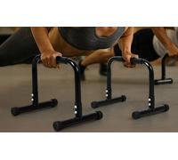 Centra Carbon Steel Parallel Dip Bar