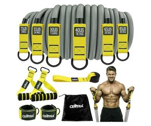 Centra Heavy Duty Resistance Bands, 350lbs Exercise Bands with Handles, 6-Level Stackable Natural Latex, Door Anchor, Ankle Straps, Carry Bag & Non-Slip Wide Handles for Men Women Home Gym