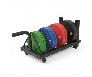 Centra Weight Plate Rack with Lockable Silent Wheels - 300lb Capacity Horizontal Olympic Plate Storage Holder for Home Gym, Garage - Heavy Duty Carbon Steel Frame, 4 Wide Slots Fits 2” Olympic Bar