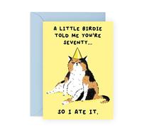 Central 23 70th Birthday Cards For Men Women - Seventieth Cat Birthday Card For Mum Dad Nan Grandpa - Funny Humour - Comes With Fun Stickers - Made In The UK