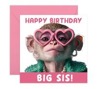 Central 23 Big Sister Birthday Card Funny - Big Sis Monkey - Monkey Birthday Cards For Older Sister - Hilarious Gifts For Her Women - Comes With Cute Stickers