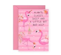 Central 23 Birthday Cards for Female Friends - Classy, Sassy and A Little Bit Bad Assy - Pink Flamingo Greeting Cards for Women - Funny Gifts for Sister Girlfriend Daughter - Ceomes with Stickers