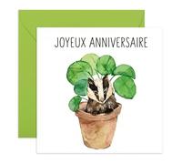 Central 23 Carte Anniversaire Homme - Blaireau dans un Pot de Fleurs - Cadeau pour Garçon, Frère & Collègue - Animal Mignon Motif - Includes Autocollants Amusants