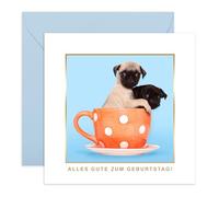 Central 23 Cartolina Auguri Divertente Two Pugs In A Mug Amico Fratello Sorella Spiritoso Idea Regalo Con Adesivi Di