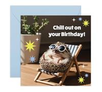 Central 23 Chill Birthday Card for Women Friends or Teen Girls - Hedgehog in Sunglasses Relaxing in Deck Chair - Funny Animal Vibes - Light Blue Envelope - Comes with Stickers