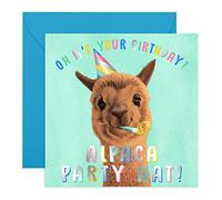 Central 23 - Funny Birthday Card - 'Alpaca Birthday Hat' - Witty Animal Pun Card - For Friends - Cute Design for Kids - Comes With Fun Stickers
