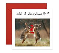 Central 23 Funny Birthday Card - Have A Knockout Day - Boxing Bunnies - Humorous Modern Greeting Card For Men & Women - Comes With Stickers