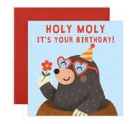 Central 23 Funny Birthday Card - Holy Moly Mole Cartoon Design - Cute Animal Humour With Glasses Flower And Party Hat - Birthday Card For Men Women Kids Friends - Comes With Stickers