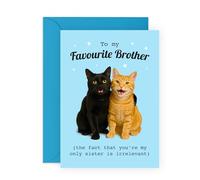 Central 23 Funny Card for Brother from Sister - Two Cute Cats with Favourite Brother Joke - Light Blue Envelope - Humourous Gift for Sibling Birthday or Just Because - Comes with Stickers