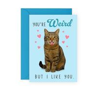 Central 23 Funny Love Card for Girlfriend Boyfriend Wife Husband Fiance - You’re Weird But I Like You - Comes with Stickers & Blue Envelope - Cat Anniversary Humour