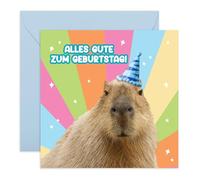 Central 23 Geburtstagskarte Für Männer Frauen Capybara Party Hut Freund Mutter Schwester Aunt Nichte Aufkleber Von
