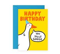 Central 23 Happy Birthday Card For Friend - Silly Goose - Funny Greeting Cards For Son Daughter Nephew Niece - Humourous Gifts For Men And Women - Comes With Stickers