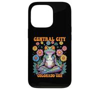 Central City Colorado USA Frog Zen Chill Design Case for iPhone 13 Pro