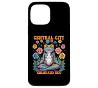 Central City Colorado USA Frog Zen Chill Design Case for iPhone 13 Pro Max