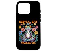 Central City Colorado USA Frog Zen Chill Design Case for iPhone 16 Pro