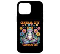 Central City Colorado USA Frog Zen Chill Design Case for iPhone 16 Pro Max