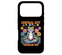 Central City Colorado USA Frog Zen Chill Design Case for iPhone 17 Pro