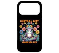 Central City Colorado USA Frog Zen Chill Design Case for iPhone 17 Pro Max