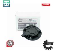 ESEN SKV 39SKV900 Central Magnet, camshaft adjustment