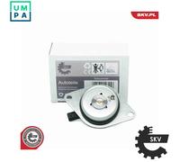 ESEN SKV 39SKV902 Central Magnet, camshaft adjustment