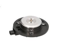 Central Magnet, camshaft adjustment PIERBURG 7.06117.26.0 for A3 (8P1) 2 2004-