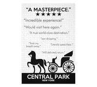 CENTRAL PARK MASTERPIECE Picture Puzzle for Adults, 1000 PCS