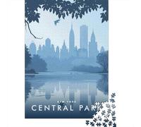 Central Park New York 1000 Piece Jigsaw, New Year Gift, 70x50cm/1000pcs