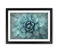 Centre Of A Green Succulent Plant Modern Art Framed Print | A2 Black Framed Wall Art | Ready to Hang | Modern Floral Picture | Living Room Bedroom Lounge Office