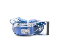 Centurion Heavy Duty Ratchet Strap 6m x 50mm - 5 Ton Load Capacity | Durable Polyester Webbing | Cargo Tie Down Strap for Trailers, Vans, Trucks & Lashing