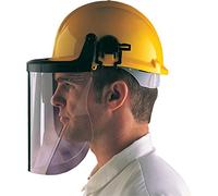 Centurion S590 Polycarbonate Clear Face Screen 225 mm 9 Inch