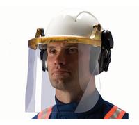 Centurion S590Aea Polycarbonate Anti Electric Arc Face Screen 225 mm