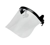 Centurion S590 Polycarbonate Clear Face Screen 225 mm 9 Inch